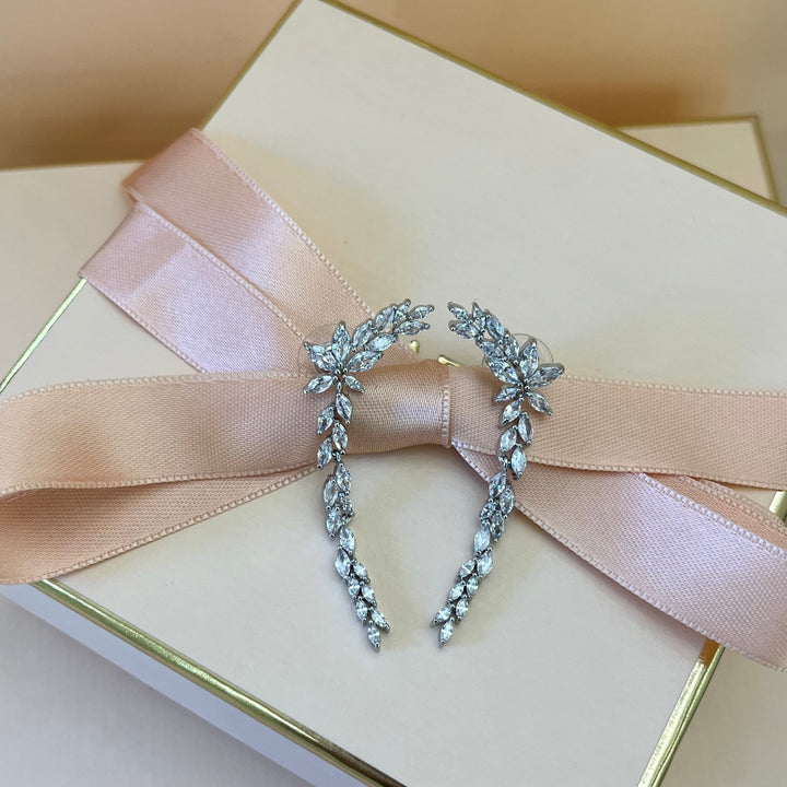 Silver zircone earrings