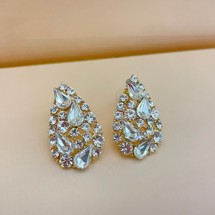 Elegant earrings