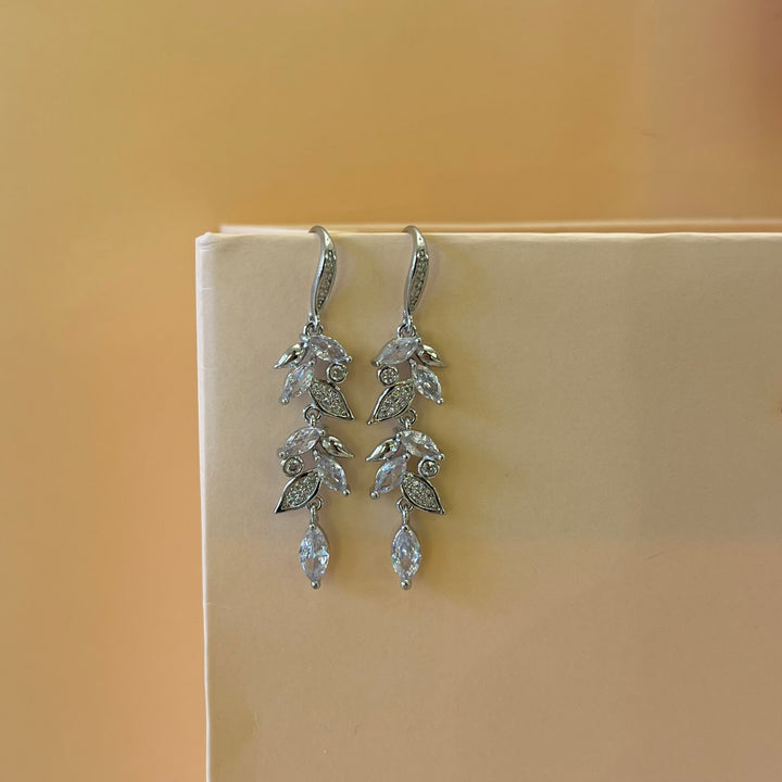 Silver zircone hooks