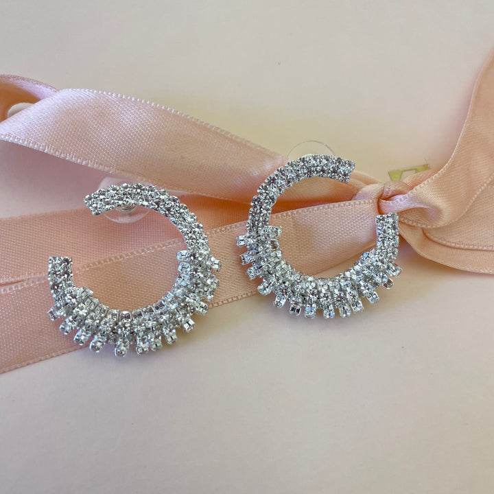 Elegant earrings