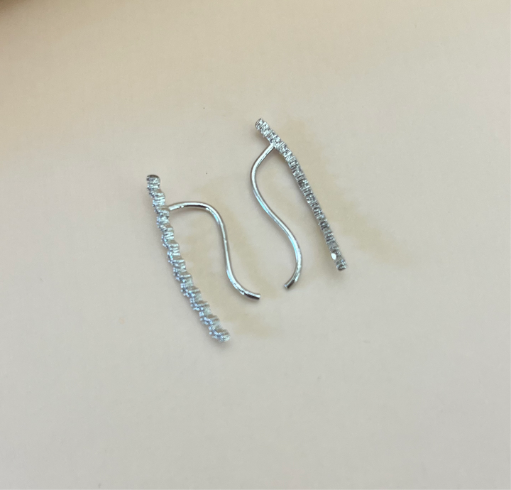 Silver zircone hooks