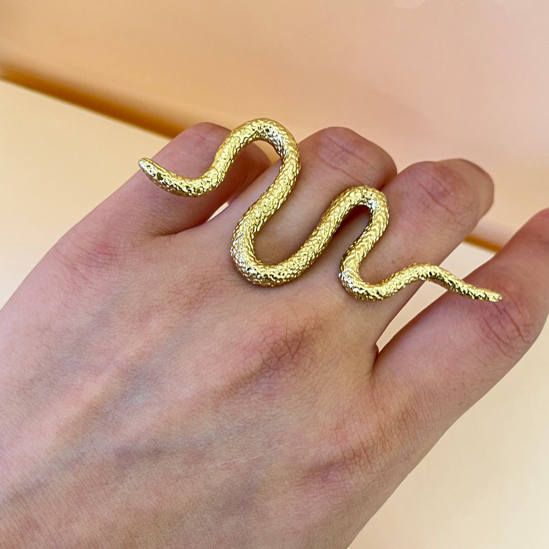 Snake gold handmade earring & ring