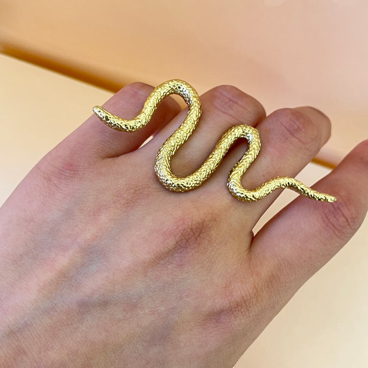 Snake gold handmade earring & ring