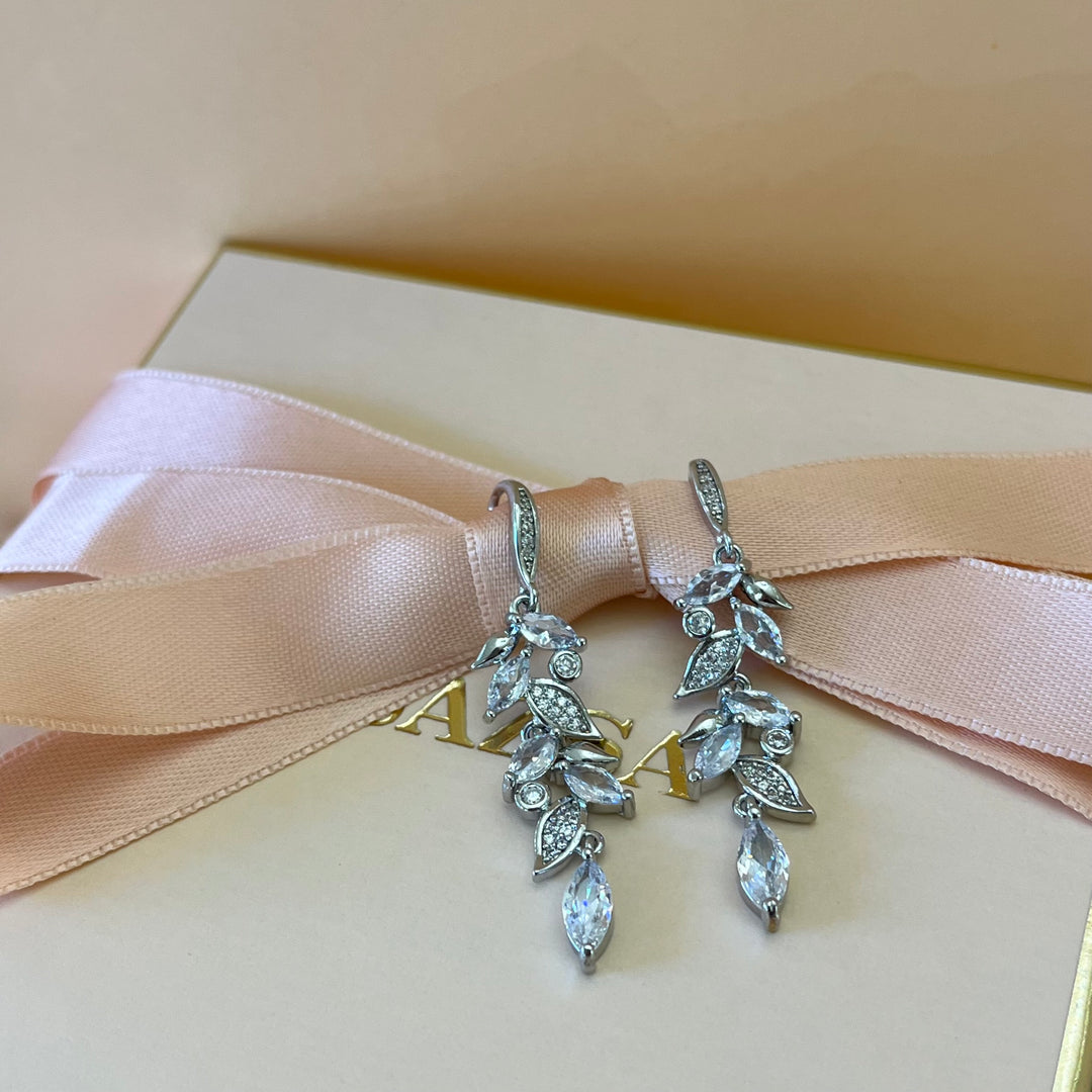 Silver zircone hooks