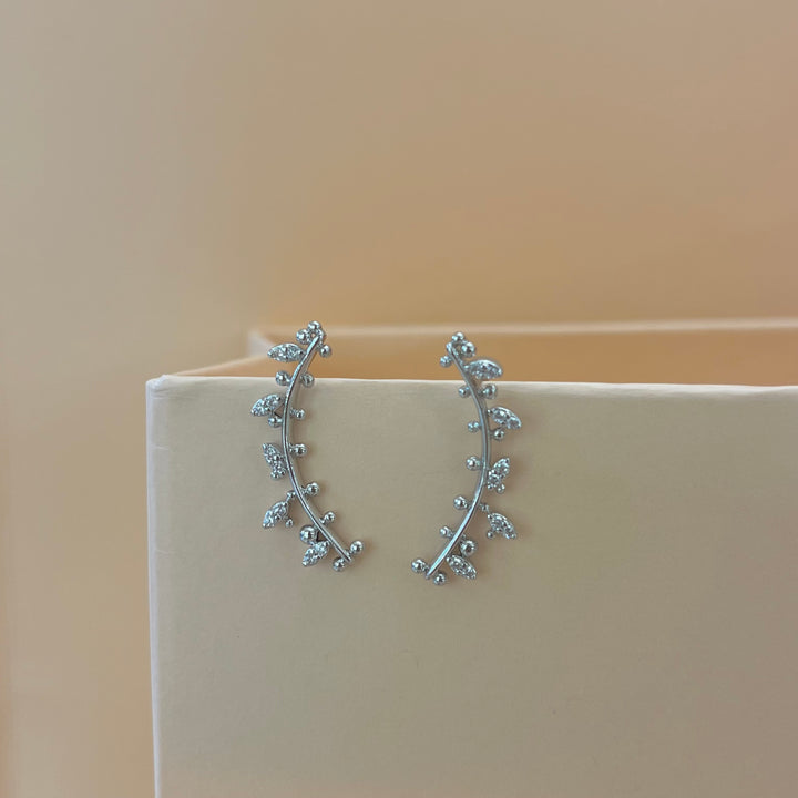 Silver zircone hooks