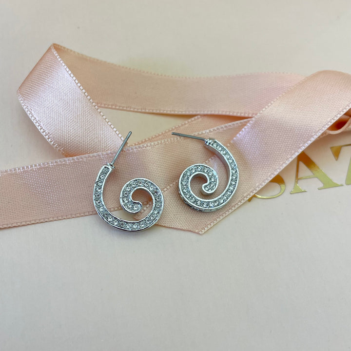 Beautiful silver earrings