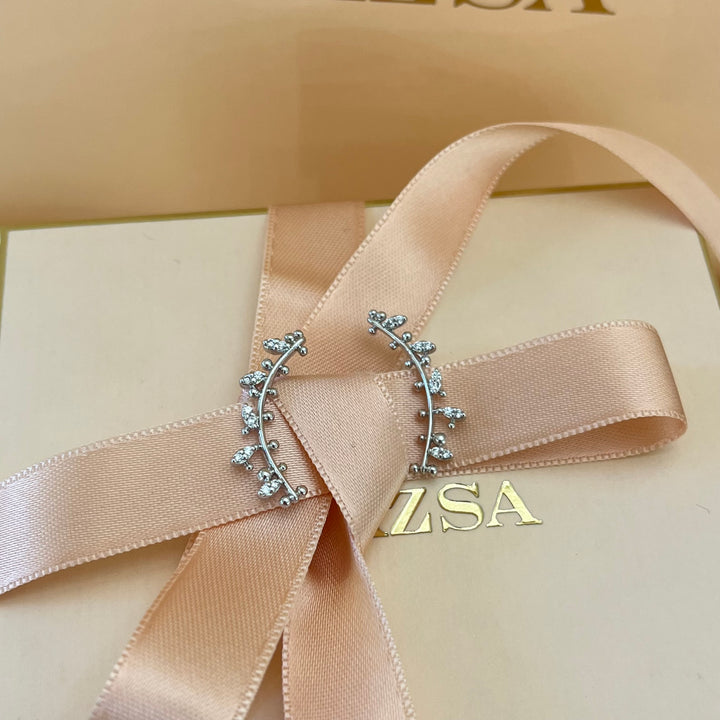 Silver zircone hooks