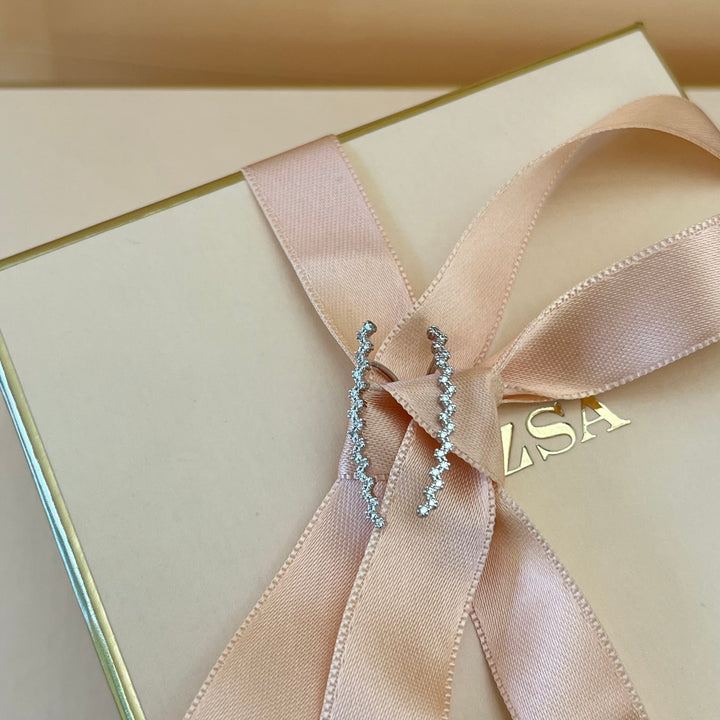 Silver zircone hooks