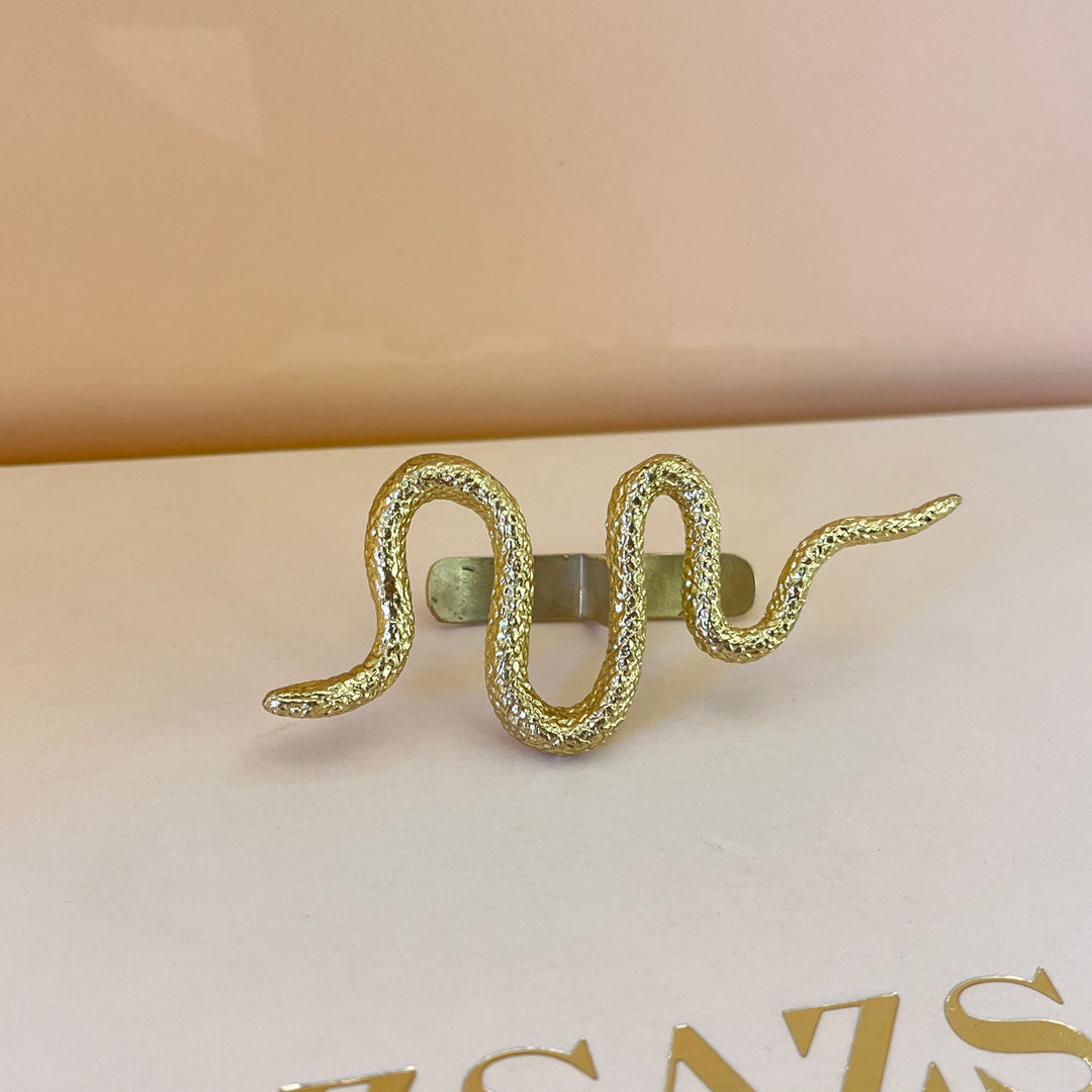 Snake gold handmade earring & ring