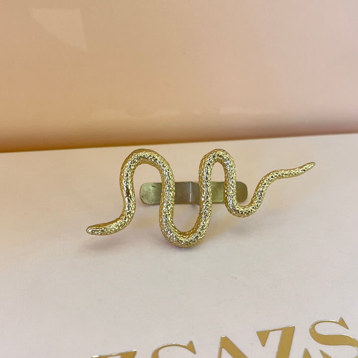Snake gold handmade earring & ring