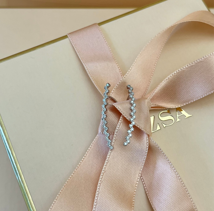 Silver zircone hooks