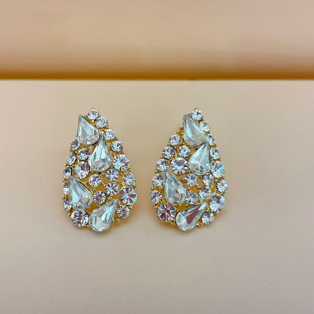 Elegant earrings