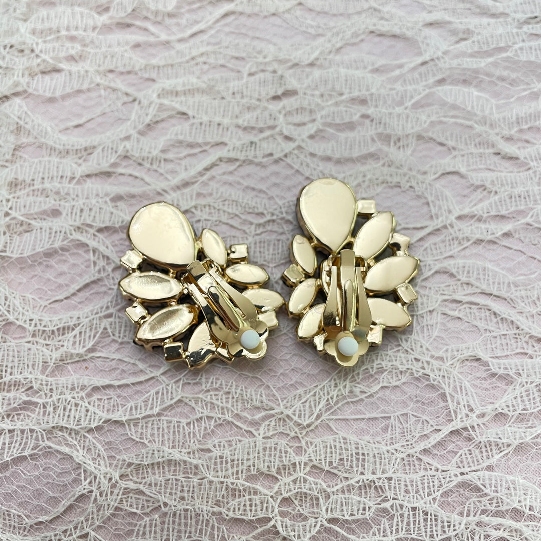 Black mix of stones clips earrings