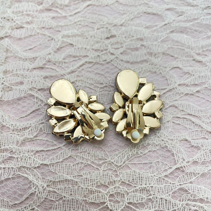 Black mix of stones clips earrings