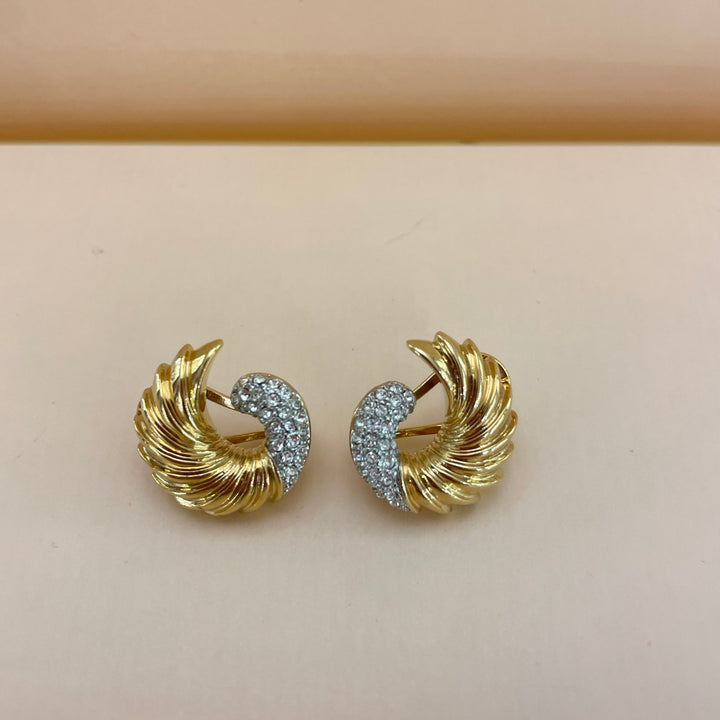 Beautiful earrings