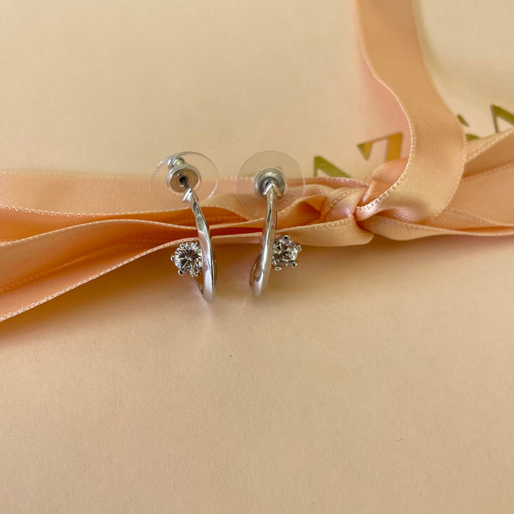 Elegant earrings