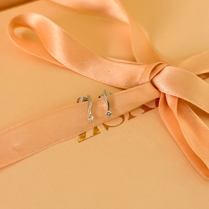 Dainty zircone silver earrings