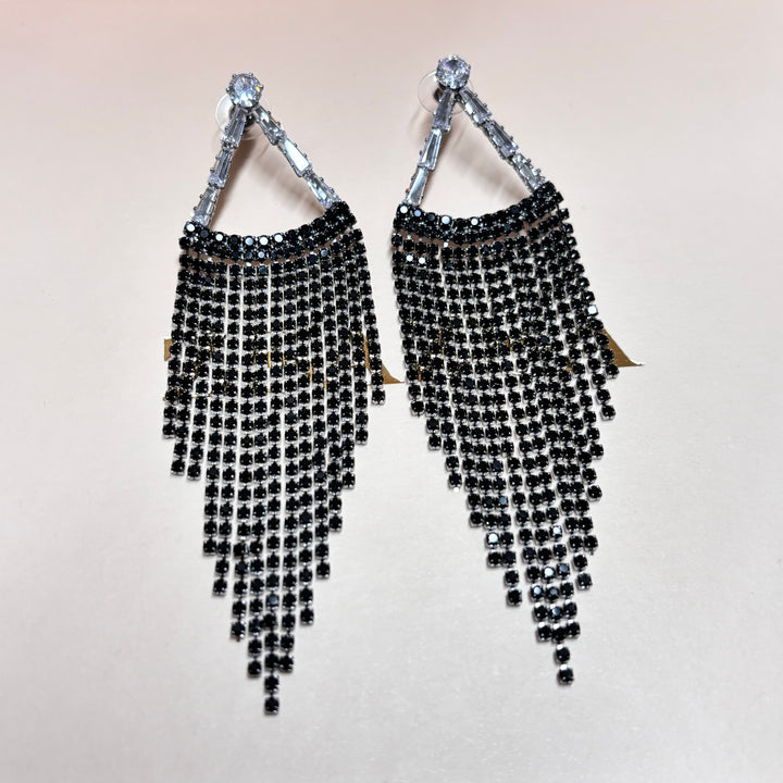 Elegant black long earrings