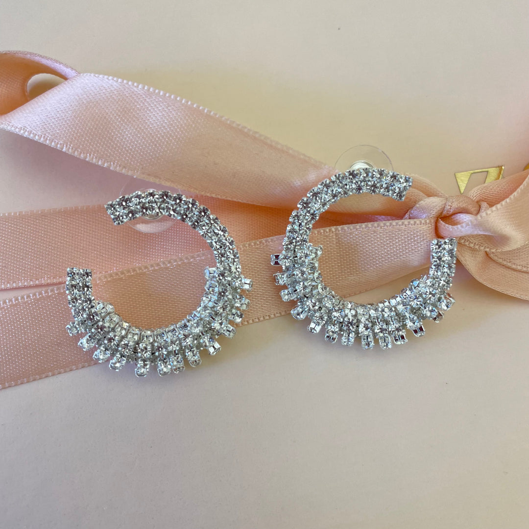 Elegant earrings