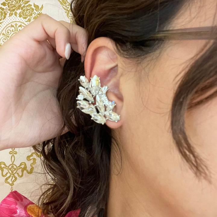 Wings earrings