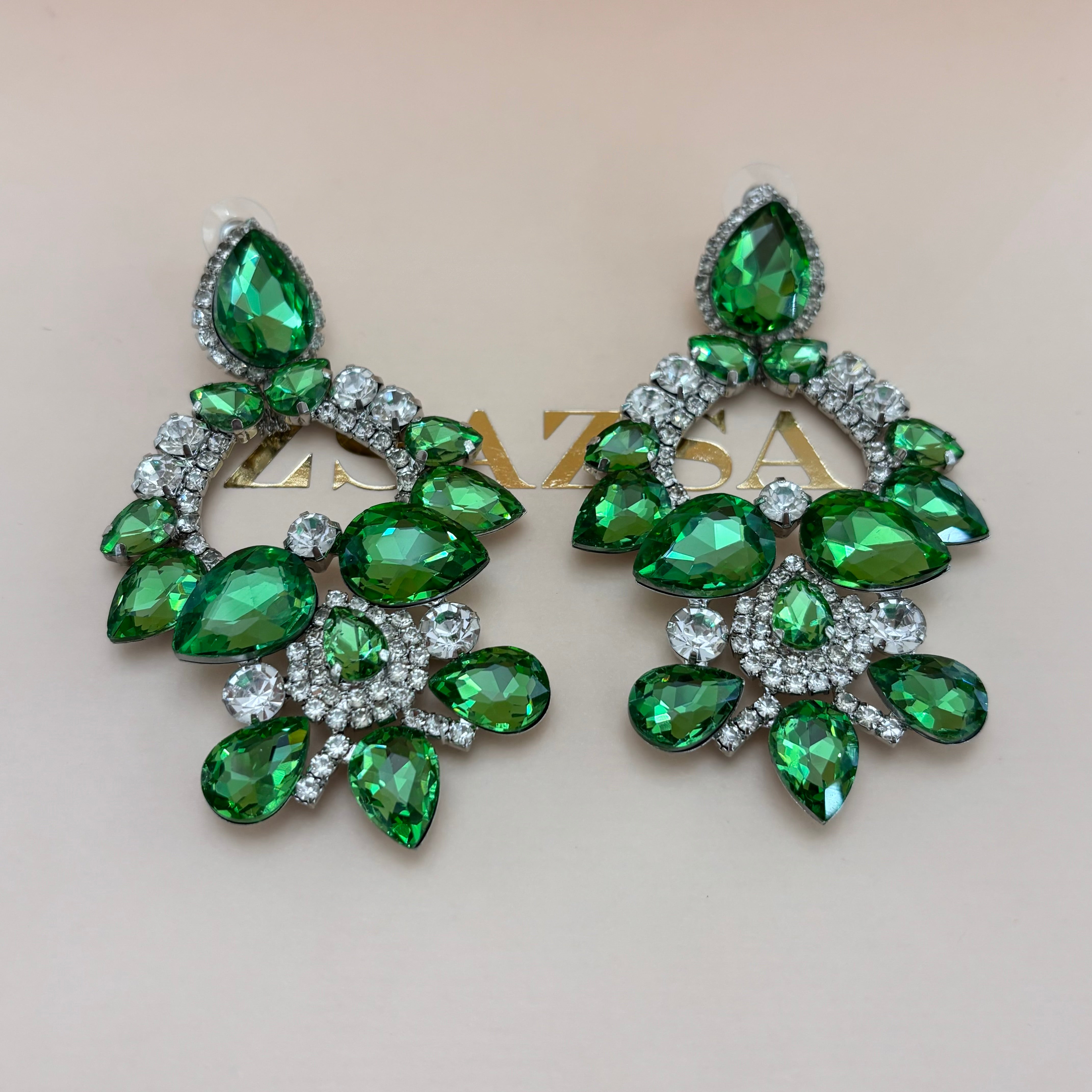 Elegant big earrings