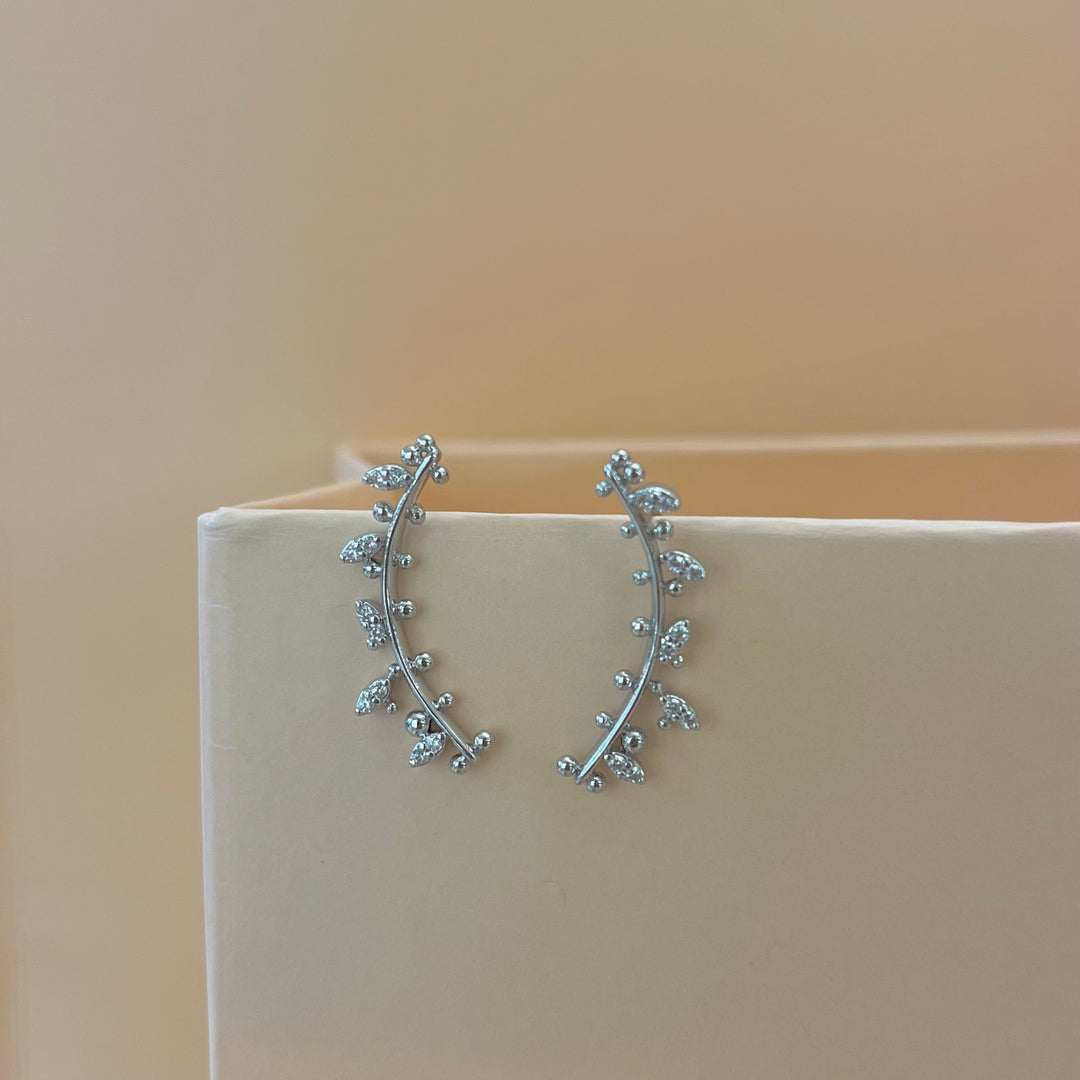 Silver zircone hooks