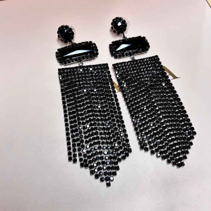 Elegant black long earrings