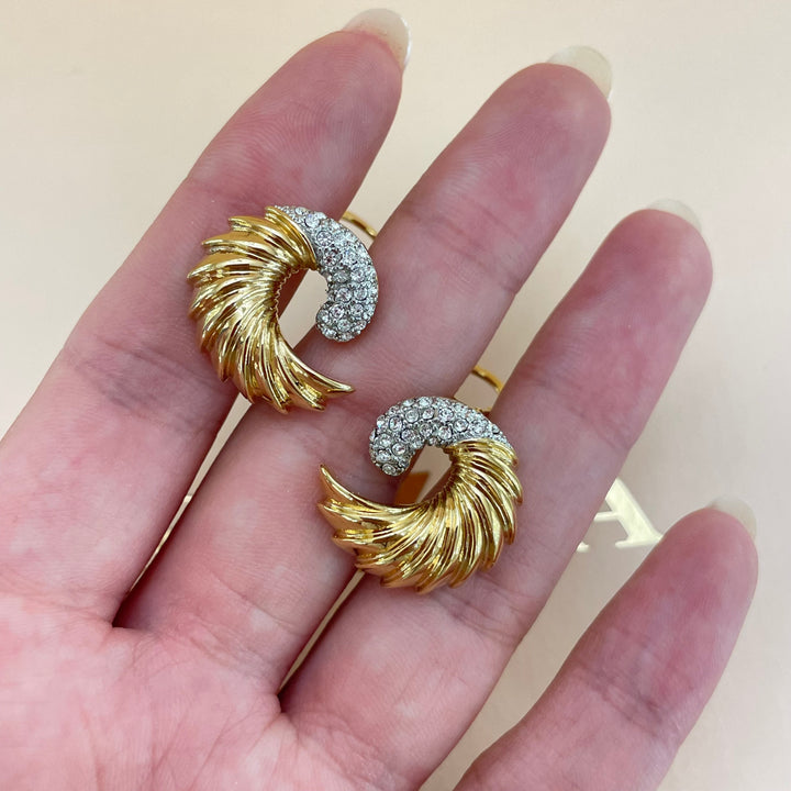 Beautiful earrings