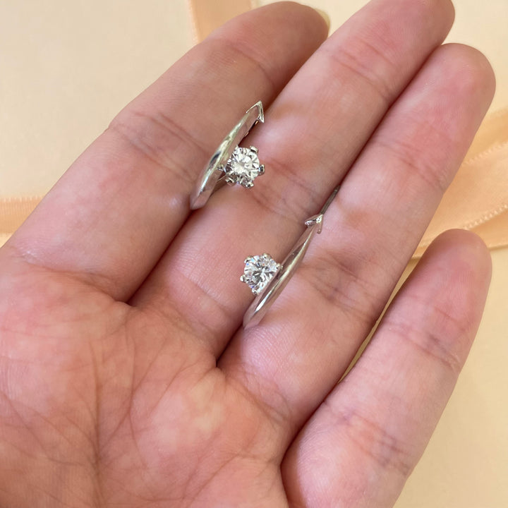 Elegant earrings