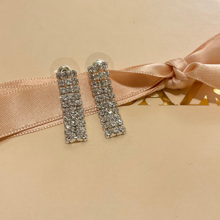 Elegant earrings