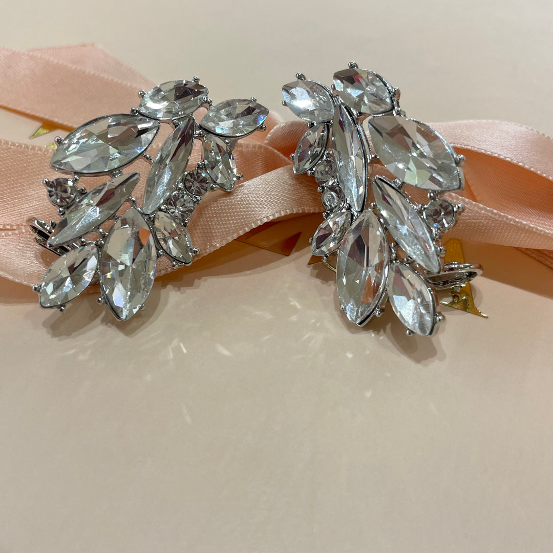 Wings earrings