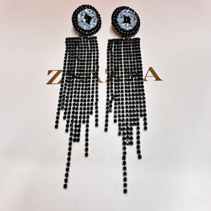Elegant black long earrings