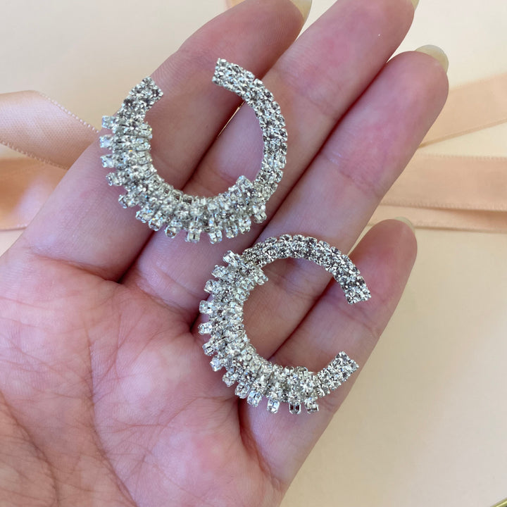 Elegant earrings