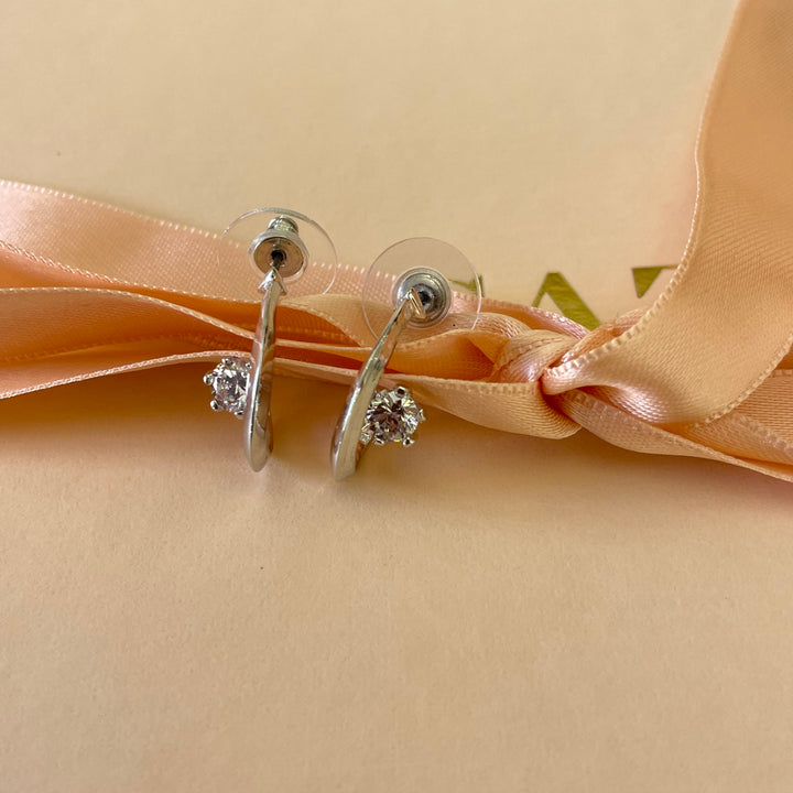 Elegant earrings