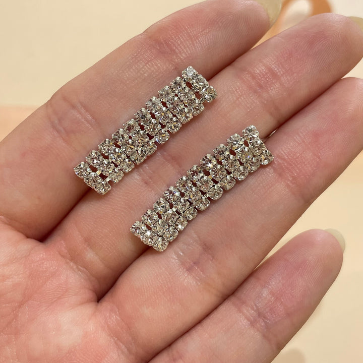 Elegant earrings