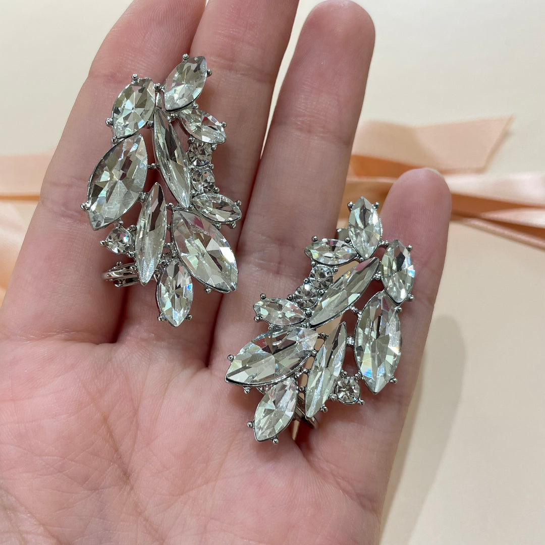 Wings earrings