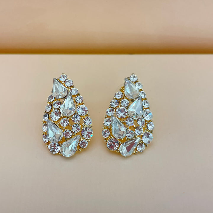 Elegant earrings