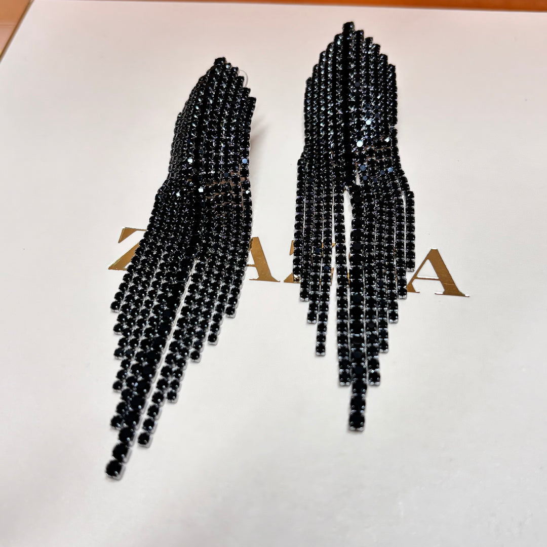Elegant black long earrings