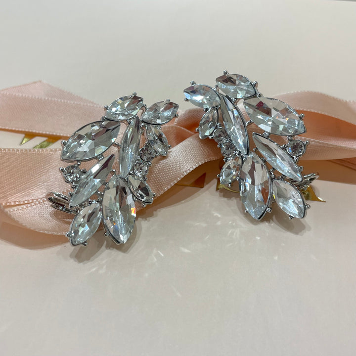 Wings earrings