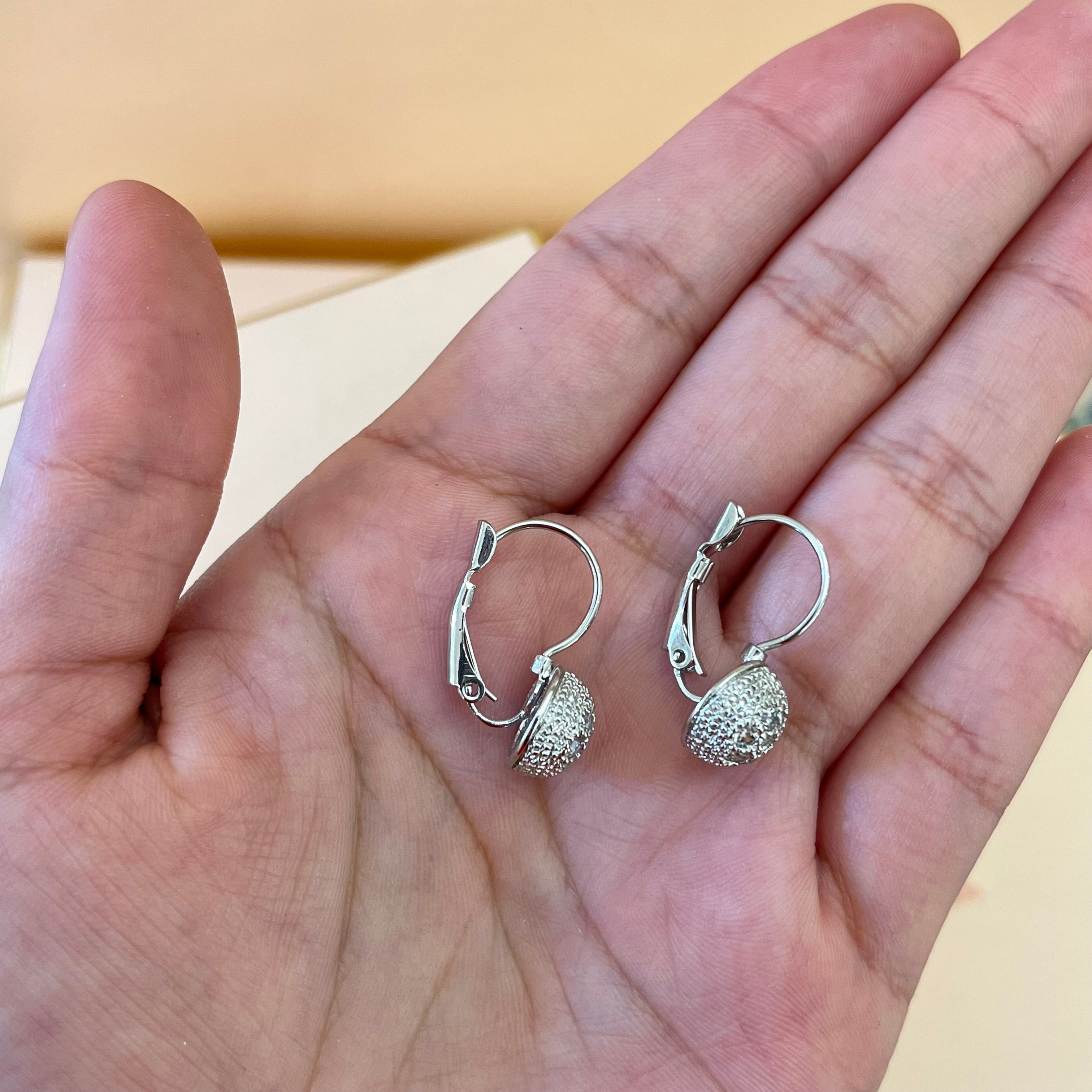 Silver zircone  hooks