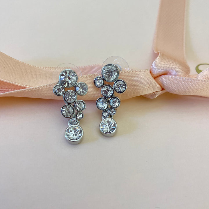 Elegant earrings