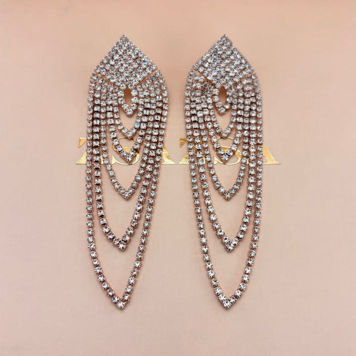 Elegant long earrings