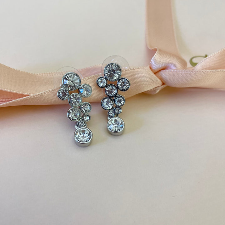 Elegant earrings
