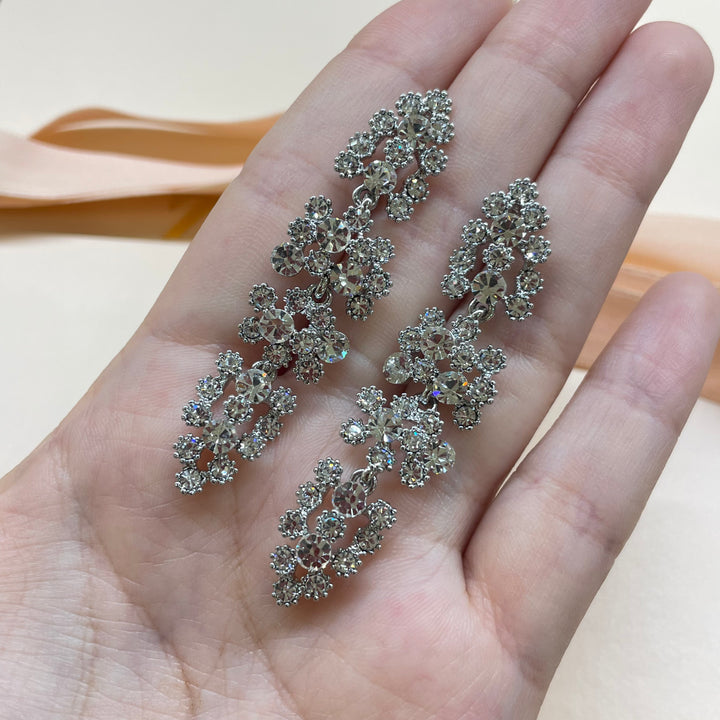 Elegant earrings